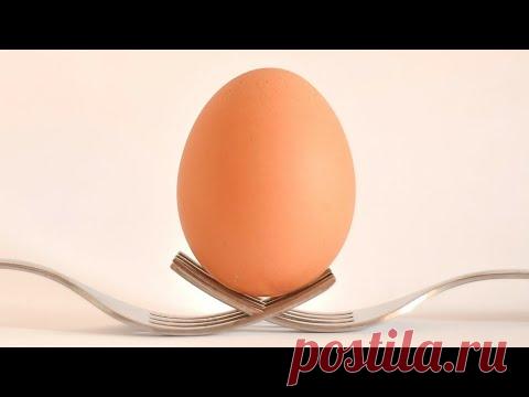 Завтрак из 1 яйца за 2 минуты.Ну очень вкусно!