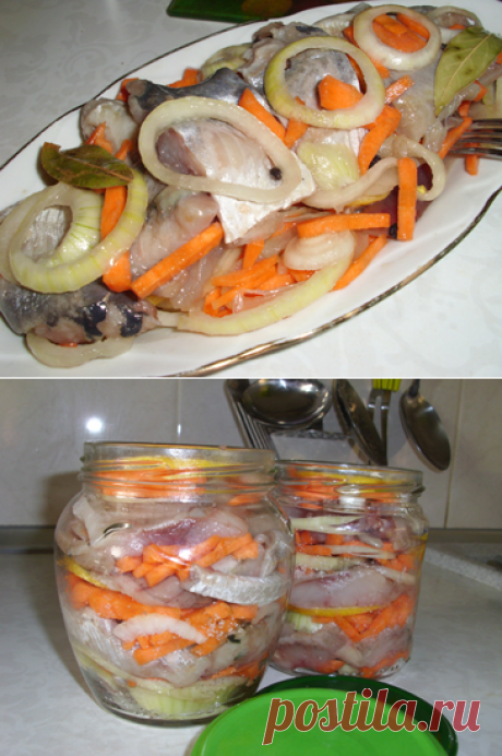 Маринованная селедка. Рецепт. Фото