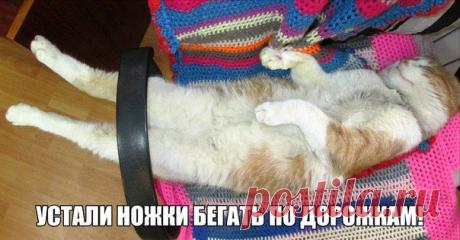 Оксана Левизарович