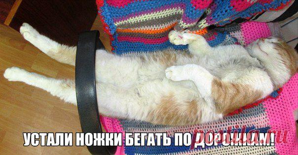 Оксана Левизарович