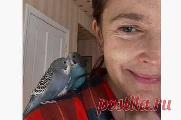 50-летняя Дрю Бэрримор восхитила фанатов внешностью без макияжа и фильтров