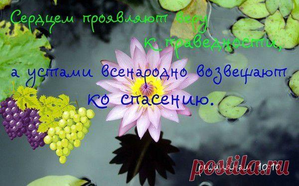 Мой Мир@Mail.Ru