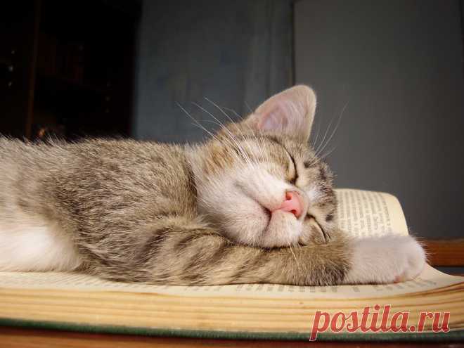 Вечер с юмором...))