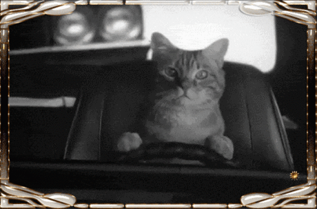 ❀LIVE ART❀ - на Мой Мир@Mail.ru