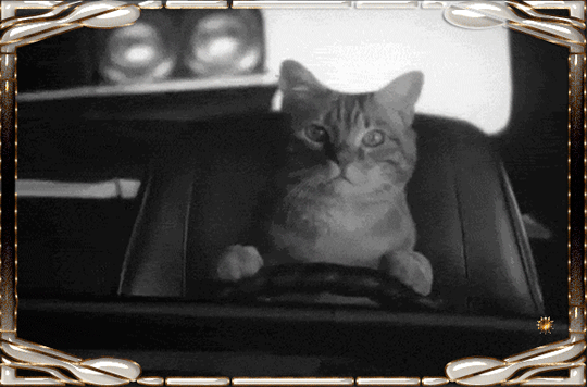 ❀LIVE ART❀ - на Мой Мир@Mail.ru