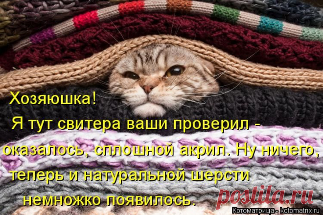 Котоматрица: Круть