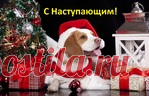 С Наступающим! Улыбнемся?!))