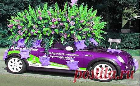 Парад цветов в Аалсмеере