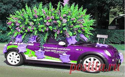 Парад цветов в Аалсмеере