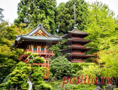 Japanese Tea Garden, Golden Gate Park, San Francisco, California, CA, USA - License, download or print for £24.80 | Photos | Picfair