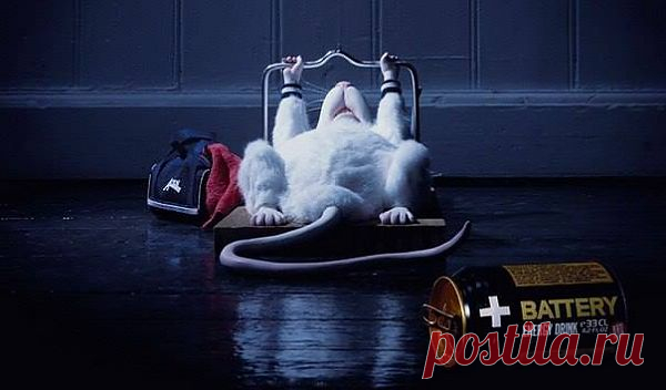 Думайте письменно. Цель, которой нет на бумаге, не существует.
Задавайте цель определенно, отвечая на вопросы: что, где, когда и как? 
Ограничьте цель во времени: цель без времени - это просто мечта.