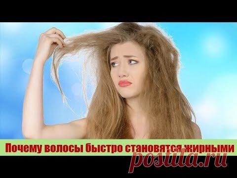 Оказывается Вот Почему ВОЛОСЫ быстро становятся ЖИРНЫМИ Как правильно ухаживать за волосами - YouTube