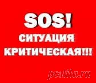 . Платинг, требуется помощь!!! Добрый день всем! Девочки, помогайте!