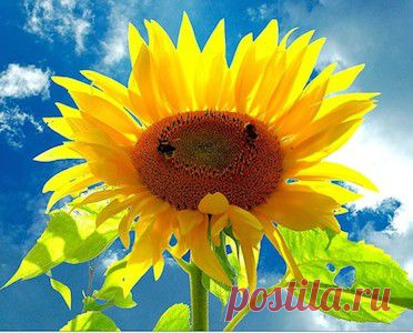 Весенние ритуалы для счастья и любви