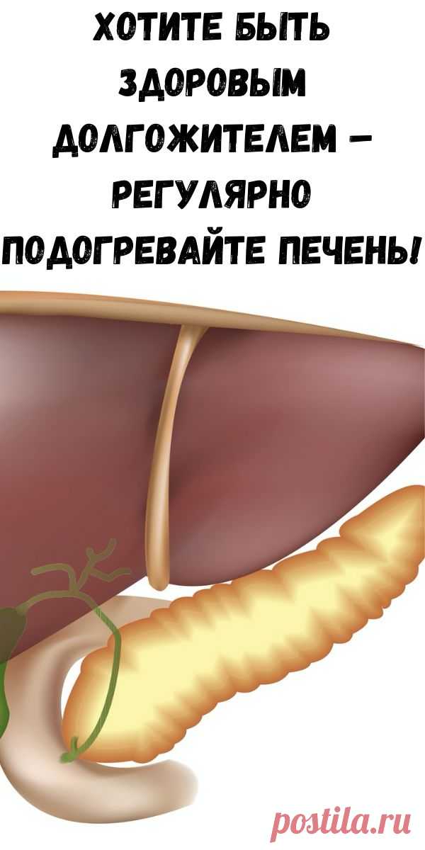 Хотите быть здоровым долгожителем – регулярно подогревайте печень! - Счастливые заметки
