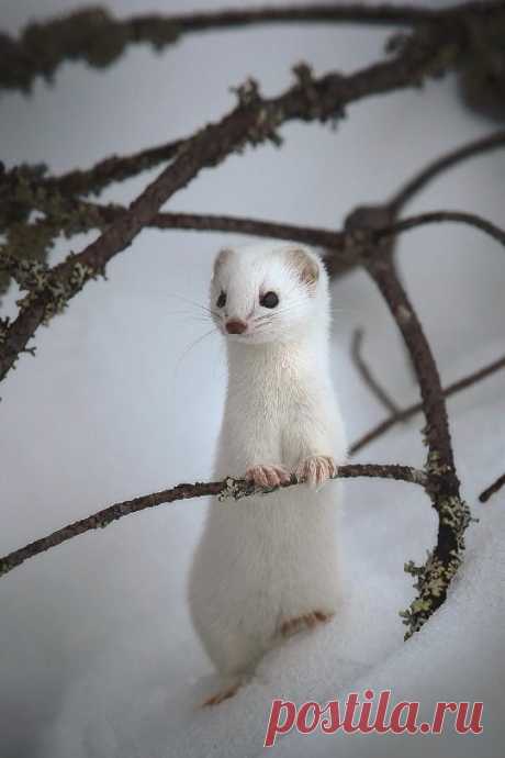 ,, BEAUTIFUL &quot;