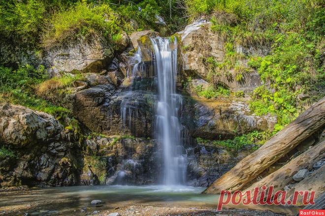 Фото: *****. Фотограф-анималист Кот Матроскин. Пейзаж - Фотосайт Расфокус.ру