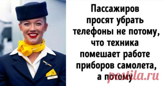 Пилоты раскрыли 20+ секретов своей работы, которыми обычно не делятся с авиапассажирами . Милая Я