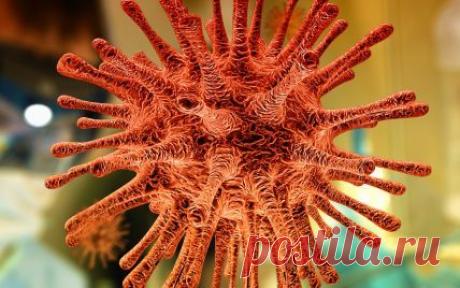 Коронавірус в Україні: цитокіновий шторм, як розпізнати і який аналіз здавати, лікар дав поради — Укрaїнa — tsn.ua