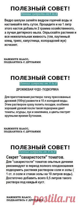 (1) Одноклассники     ОЧЕНЬ РЕДКО ВСТРЕТИШЬ ТАКИЕ СОВЕТЫ