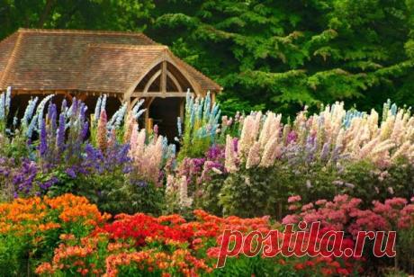 Многолетние цветы для дачи: фото с названиями, описаниями Список самых популярных многолетних садовых цветов с фото, названиями, описаниями. Какие цветы подойдут для солнечных, полутенистых и тенистых мест на даче.