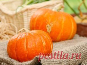 Чем полезна тыква