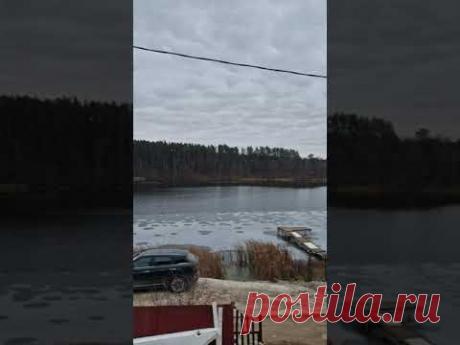 7 ноября 2024 г.