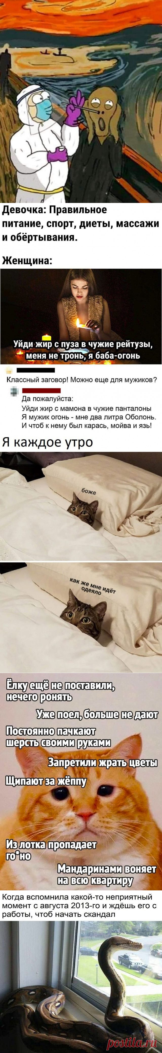 Для хорошего настроения / Приколы