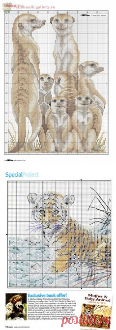 (125) Pinterest • Всемирный каталог идей