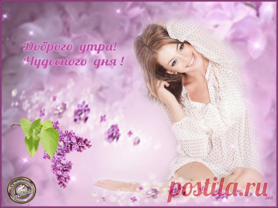 Спокойной ночи !