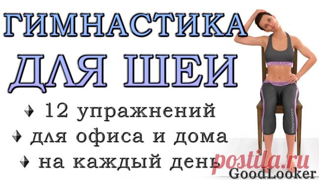 Гимнастика для шеи сидя на стуле: 12 полезных упражнений