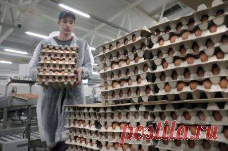 Семь раз отмерь. Ограничение цен на яйца в РФ не исключает риск спекуляций. Антимонопольная служба призвала продавцов умерить аппетиты.