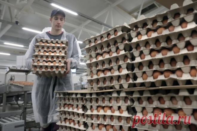 Семь раз отмерь. Ограничение цен на яйца в РФ не исключает риск спекуляций. Антимонопольная служба призвала продавцов умерить аппетиты.