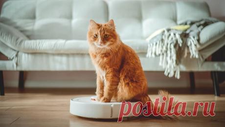 Что подарить родителям на Новый год 2024: 15 идей | РБК Life