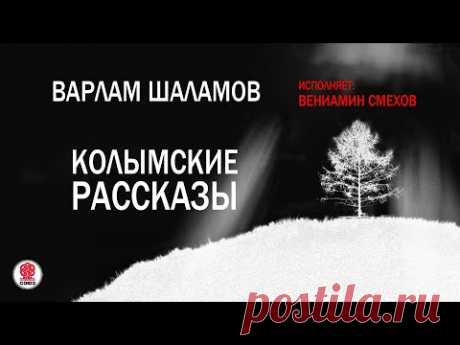 В. ШАЛАМОВ «КОЛЫМСКИЕ РАССКАЗЫ». Аудиокнига. Читает Вениамин Смехов
