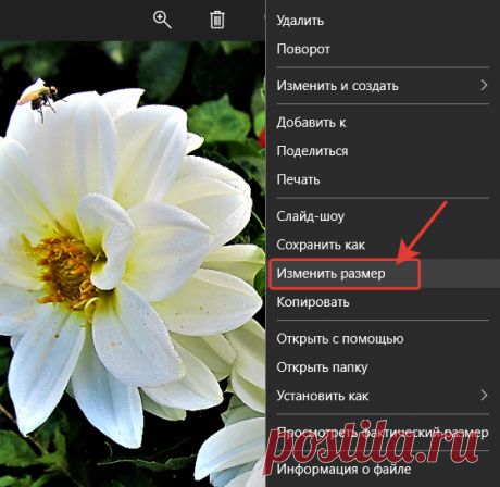 Приложение Фотографии Windows 10 - Помощь пенсионерам
