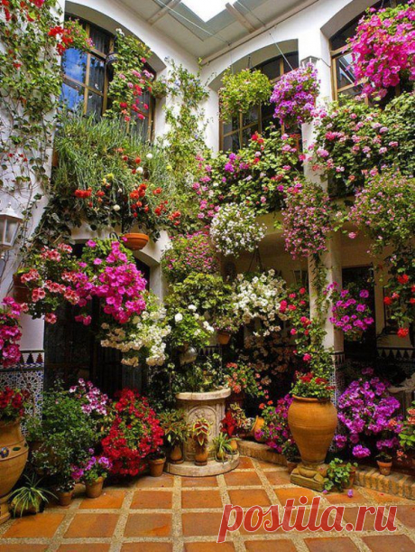 dream