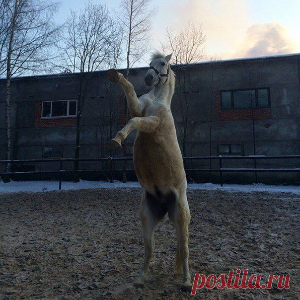 Новые фотографии