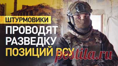 Под прикрытием осенних туманов: как штурмовики ВС РФ проводят разведку позиций ВСУ и минных полей. Российские штурмовики под прикрытием осенних туманов проводят разведку позиций и минных полей ВСУ. Командир роты с позывным Миссионер отметил, что из-за опавшей листвы маскировка противника стала менее эффективной. По сравнению с прошлым годом ВСУ реже применяют кассетные боеприпасы, но активнее используют противопехотные мины. Подробнее — в сюжете военкора RT Александра Яремчука. Читать далее