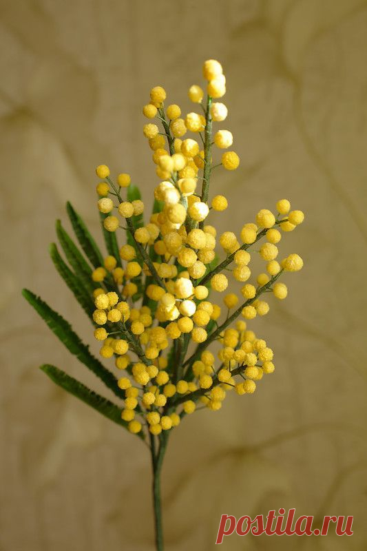 Найдено на сайте art-clayflowers.livejournal.com.