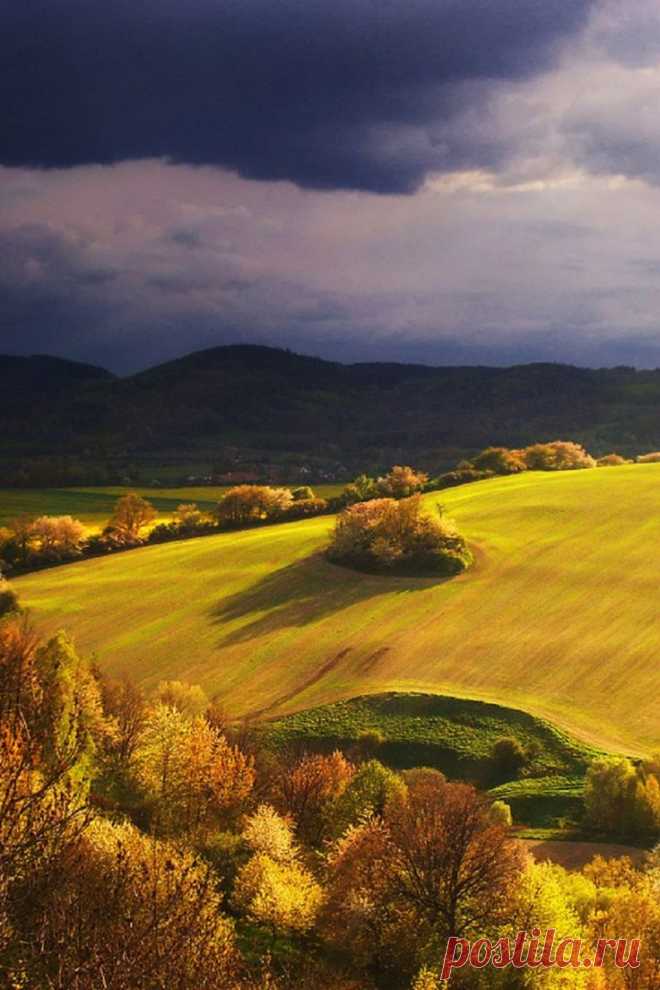 Świdnica
