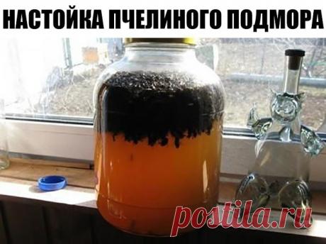 Настойка пчелиного подмора

Настойка из мёртвых пчёл — это чудо-лекарство, обладающее целебными свойствами. Все мы знаем о том, какую пользу приносит мёд нашему организму, но не всем известно о пользе пчелиного подмора.

Польза настойки на основе мёртвых пчёл

В пчелином подморе повышенное содержание полисахарида хитина, что делает его эффективным средством для понижения уровня холестерина;

Настойка на мёртвых пчелах способствует похудению;

Очищает кровеносные сосуды, же...