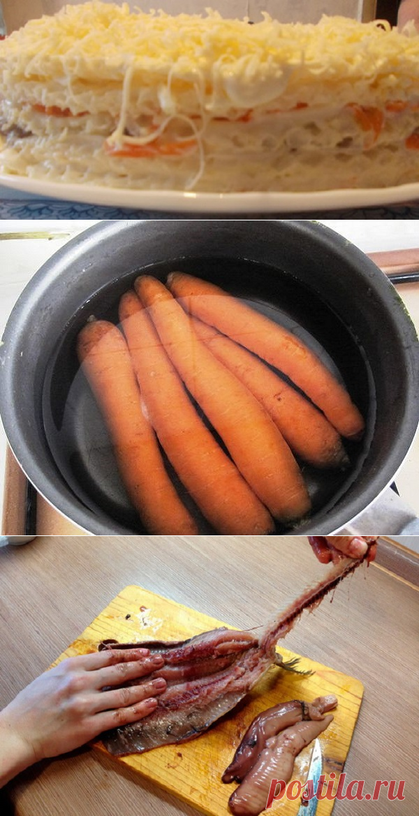 Селедочный торт (с вафельными коржами)
=

Вафельный корж
    2 шт. 

Сельдь
    1 шт. 

Яйцо
    3 шт. 

Яйцо
    2–3 шт. 

Морковь
    2–3 шт. 

Твердый сыр
    100 г 

Майонез
    500 г