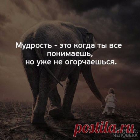 Психология человека