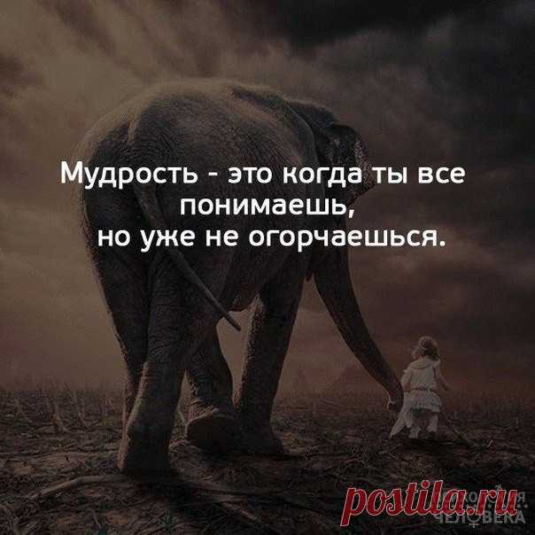 Психология человека