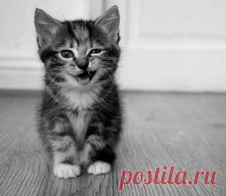 Милана Субханкулова