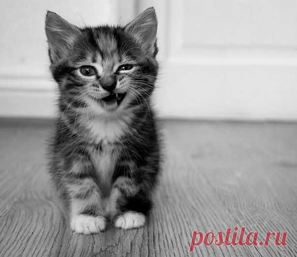 Милана Субханкулова