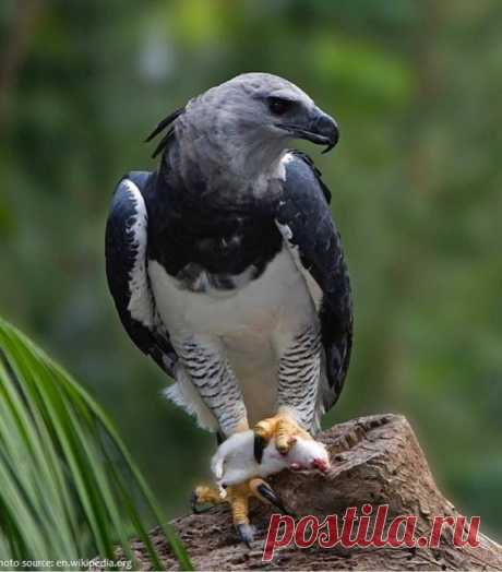 Под таким взглядом не забалуешь
