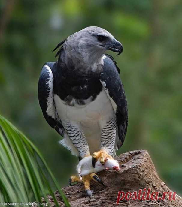 Под таким взглядом не забалуешь