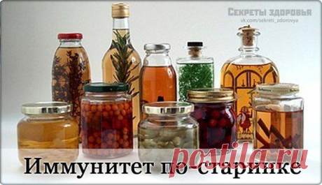 Народные средства, повышающие тонус и укрепляющие иммунитет / Абсолютное здоровье
